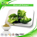 Best Price Broccoli Powder in Bulk, Broccoli Extract, Broccoli Powder